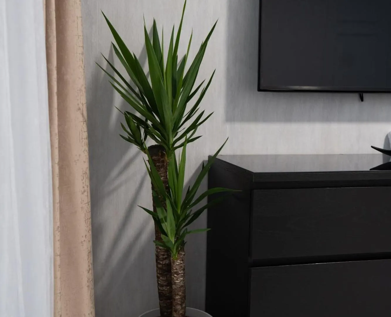 Luno Apartment Bükreş 0*,